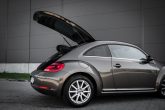 VW Beetle