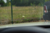 BMW 430D