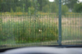 BMW 535 XDRIVE
